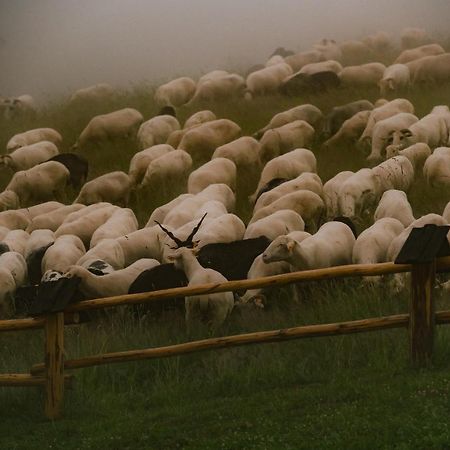 Vila Osada Matygowka Gliczarów Exteriér fotografie